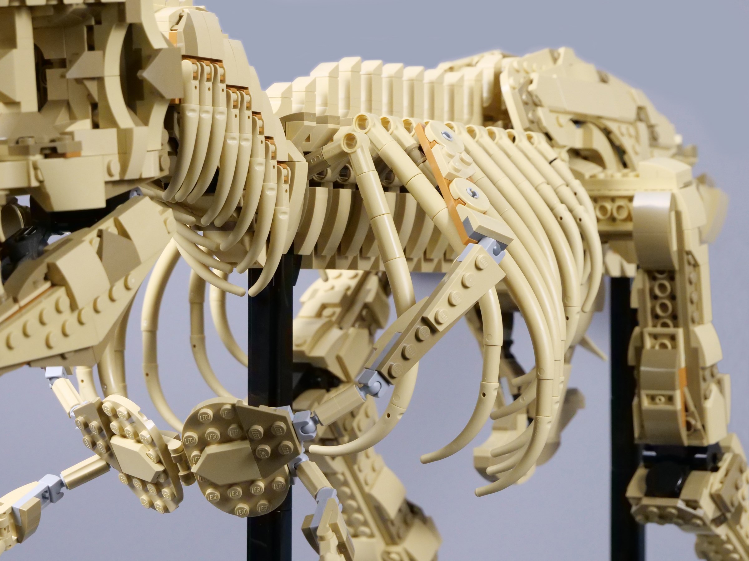 LEGO Jurassic World 76968 Dinosaur Fossils: Tyrannosaurus rex